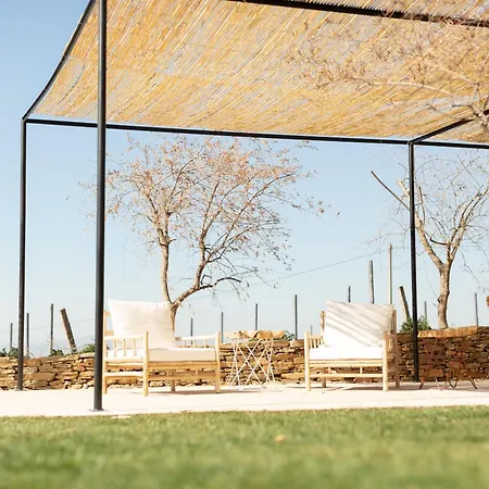 Quinta Do Olival Loft In Douro Valley