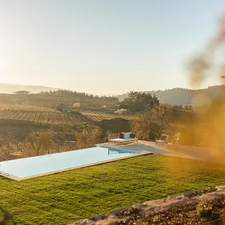別荘 Quinta Do Olival Loft In Douro Valley アルママール
