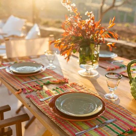 Quinta Do Olival Loft In Douro Valley