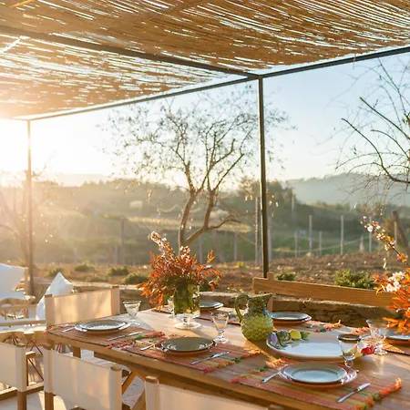 Quinta Do Olival Loft In Douro Valley 度假居