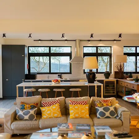 別荘 Quinta Do Olival Loft In Douro Valley *