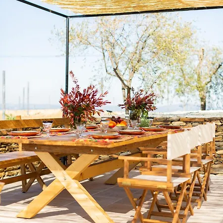 Quinta Do Olival Loft In Douro Valley 阿尔马尔