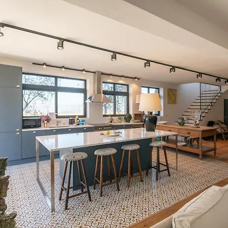 Quinta Do Olival Loft In Douro Valley 度假居 阿尔马尔