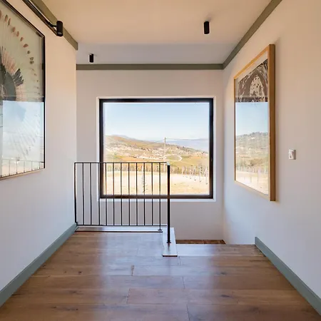 Quinta Do Olival Loft In Douro Valley 度假居