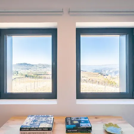 度假居 Quinta Do Olival Loft In Douro Valley *
