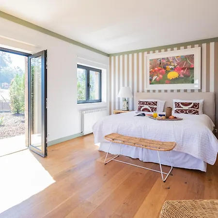 Quinta Do Olival Loft In Douro Valley *