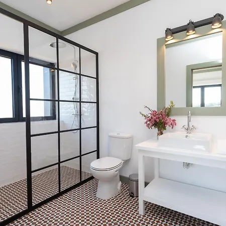 Quinta Do Olival Loft In Douro Valley 度假居 阿尔马尔