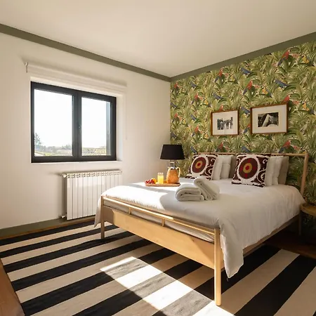 Quinta Do Olival Loft In Douro Valley 阿尔马尔
