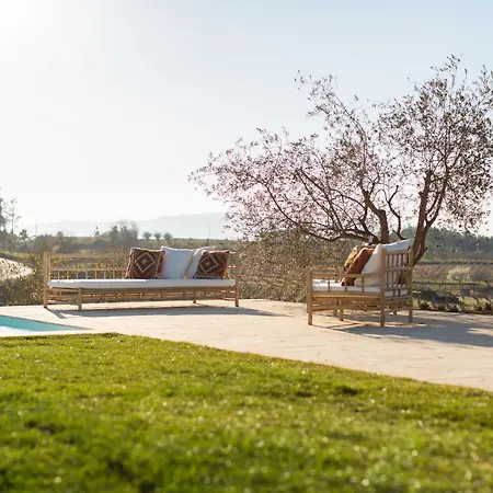 Quinta Do Olival Loft In Douro Valley 度假居 阿尔马尔