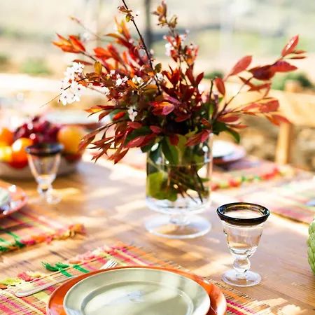 Quinta Do Olival Loft In Douro Valley *