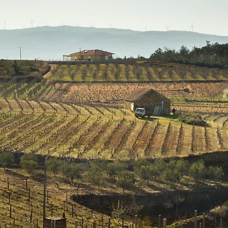 Dom wakacyjny Quinta Do Olival Loft In Douro Valley