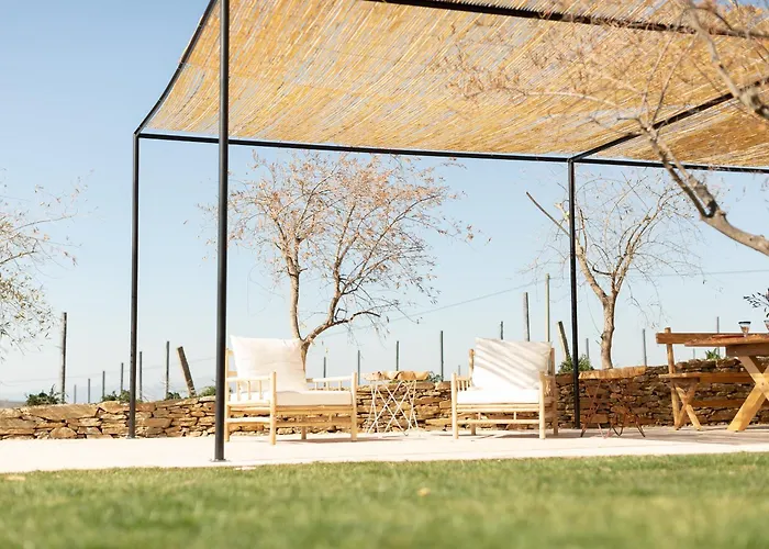 Quinta Do Olival Loft In Douro Valley