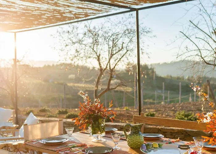 Quinta Do Olival Loft In Douro Valley Hébergement de vacances
