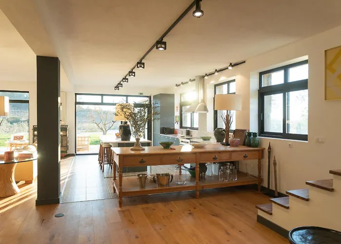 Quinta Do Olival Loft In Douro Valley