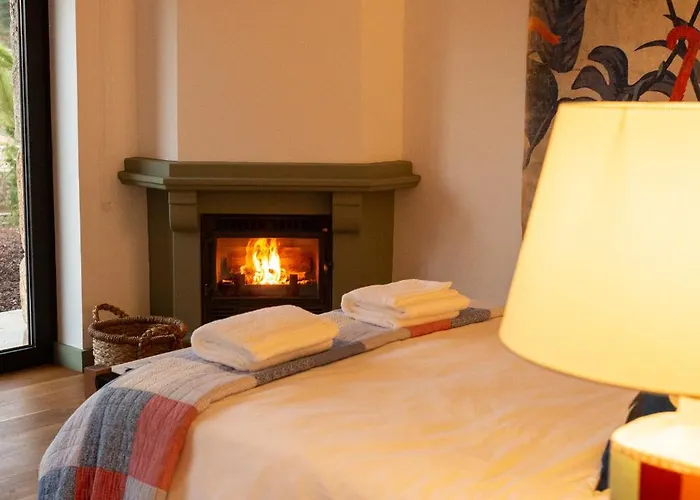 Hébergement de vacances Quinta Do Olival Loft In Douro Valley *